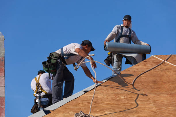 Best Roof Gutter Cleaning  in Shelburne Falls, MA